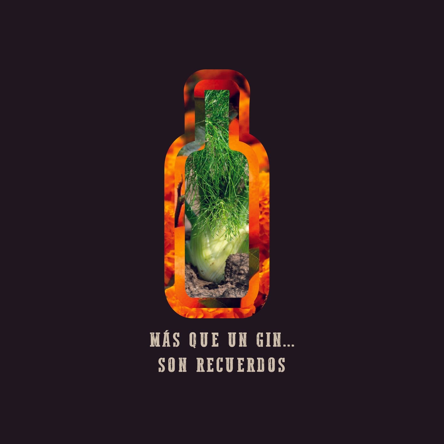 Duellum Día de Muertos